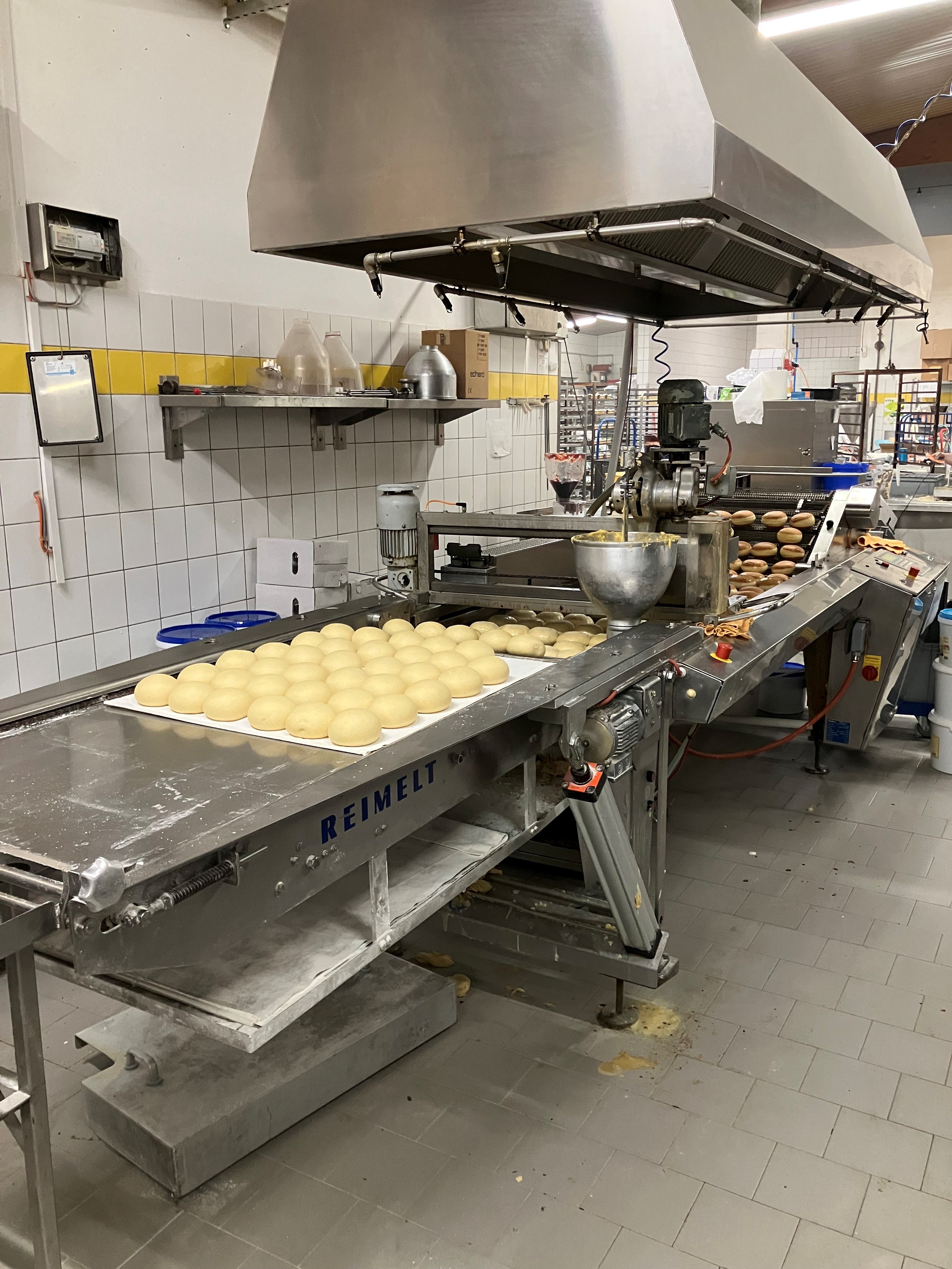 Fettbackanlage Reimel EL 6/1000S-2